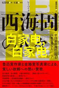 镜头中的艺术优秀摄影师及作品欣赏大汇集