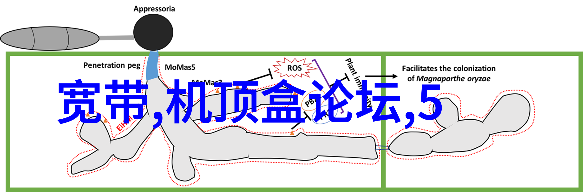 电视机最新款功能介绍