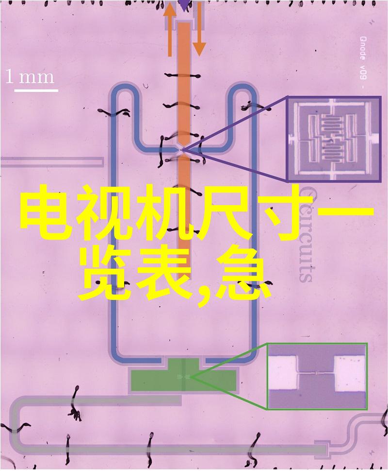 蝴蝶兰花语夏日绽放的绿意与香气