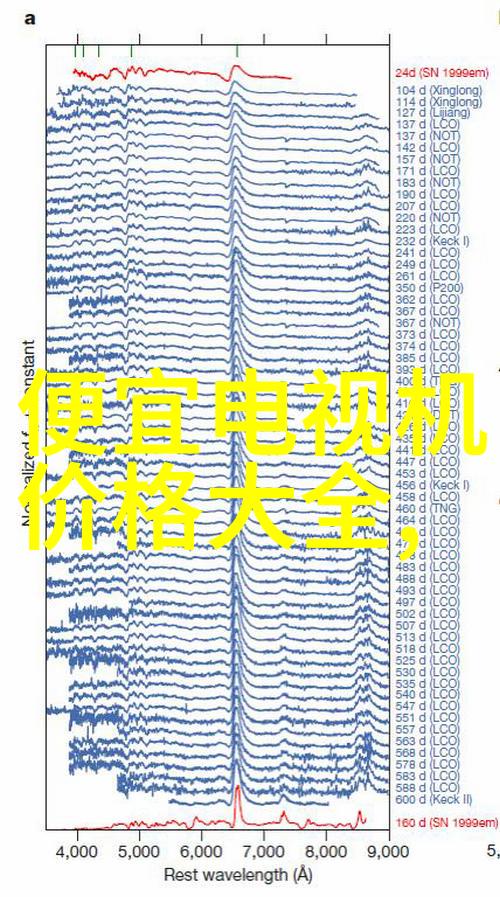 中国电力期刊探寻锂离子电池与锂电池的差异之谜谁更聪明