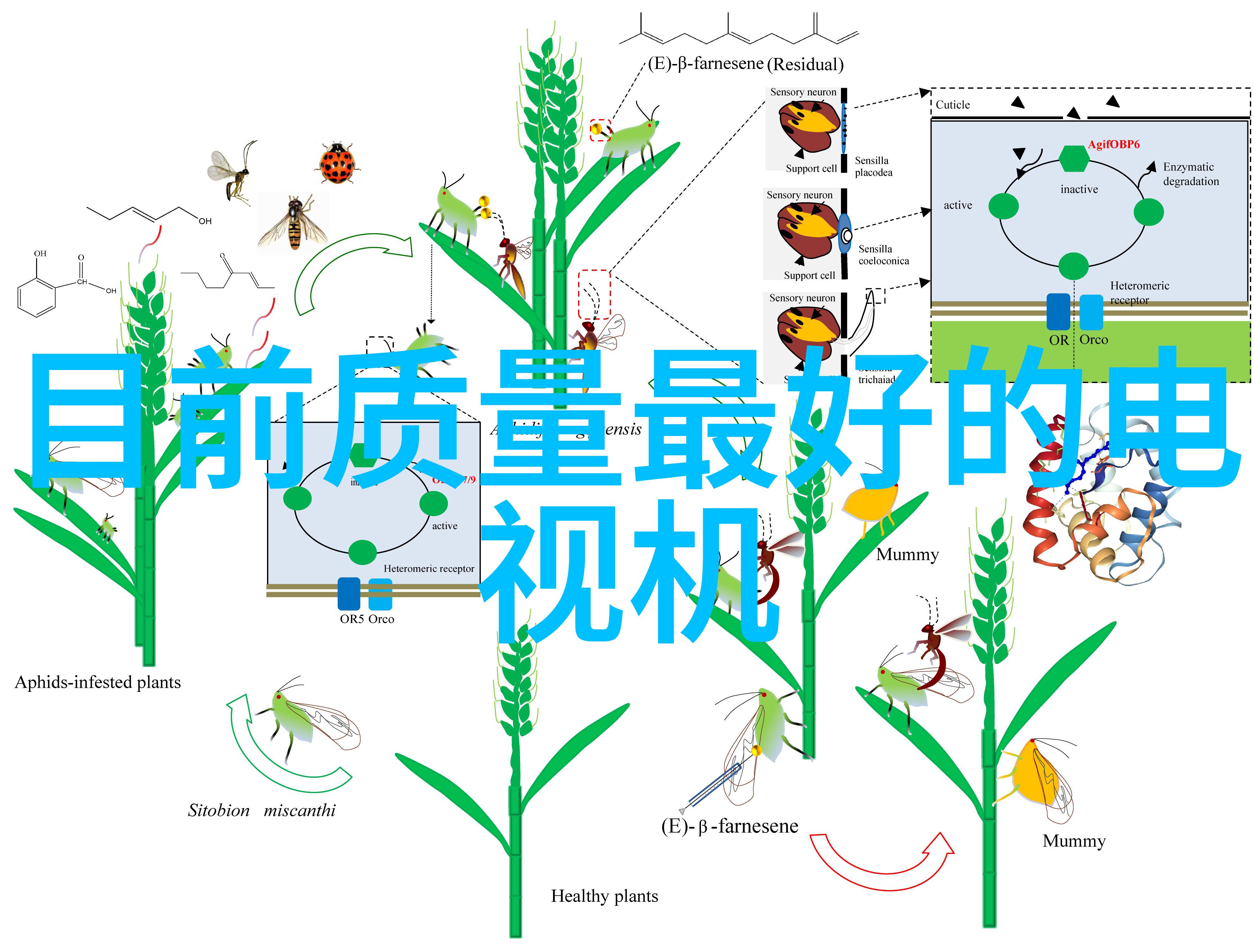 深度聚焦F14与F18的50mm定焦镜头对比测评与选购指南