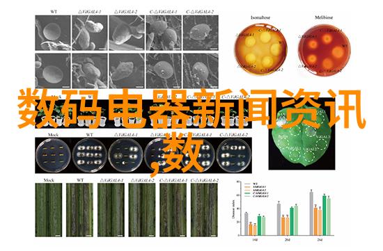 水电之谜工人们的学术探险