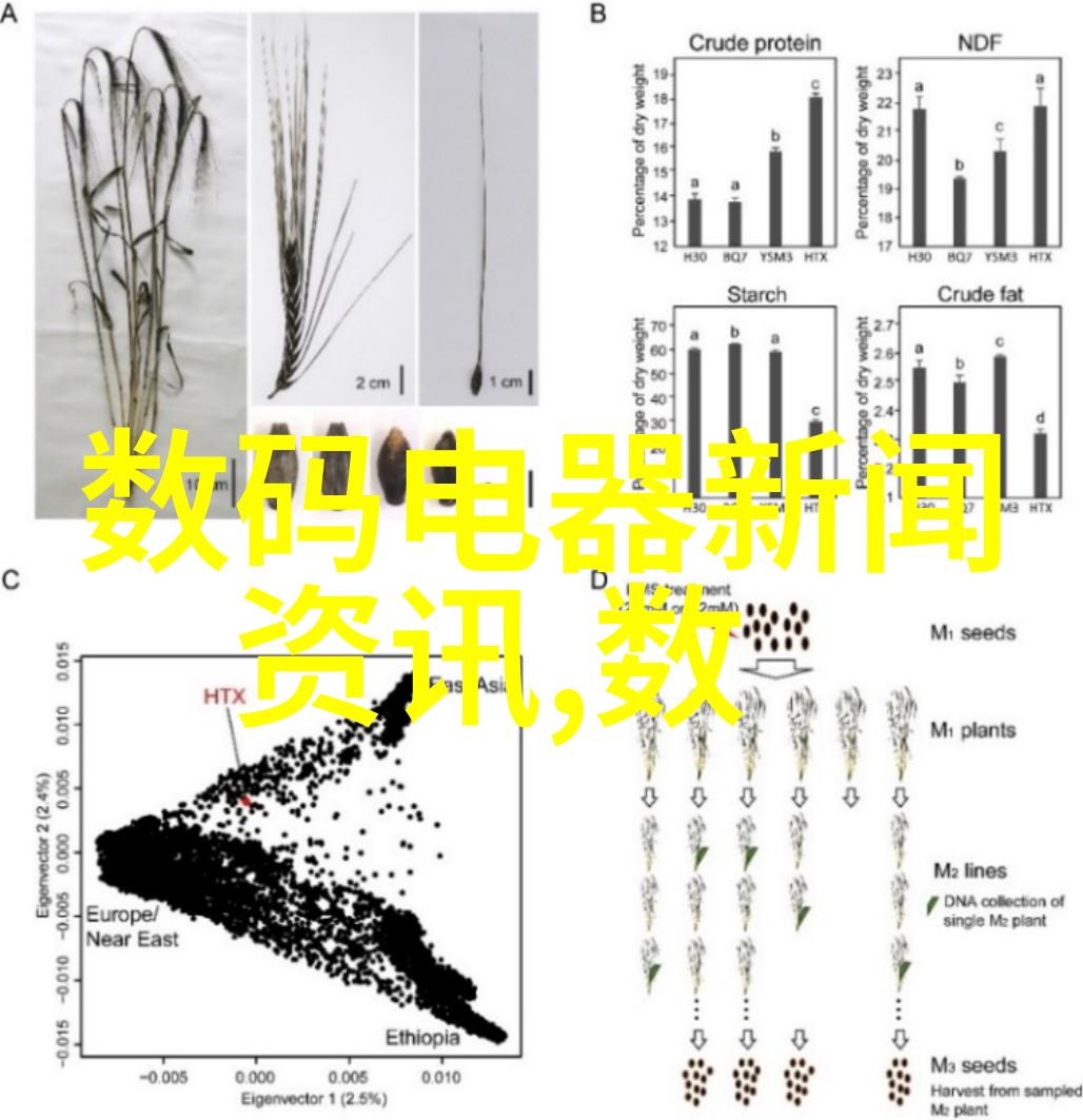 客厅装修大气时尚色彩选择温馨雅致家居色彩搭配