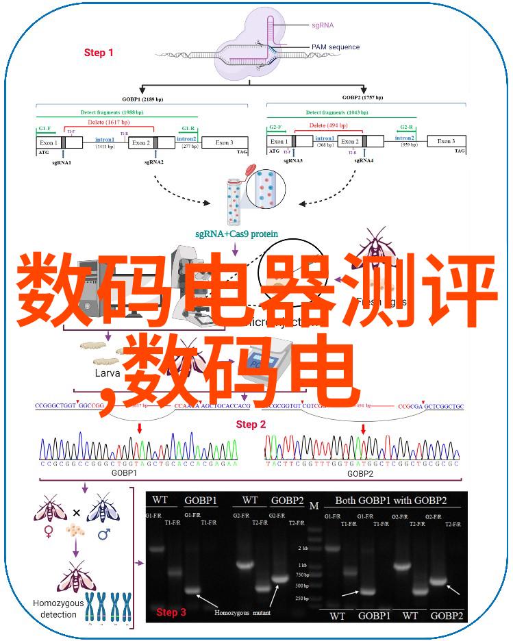 小型工业污水处理一体机的研发与应用概述技术进步环境效益与经济可行性分析