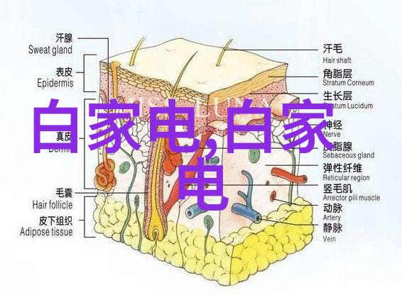 西安市的PE管生产厂家热线电话