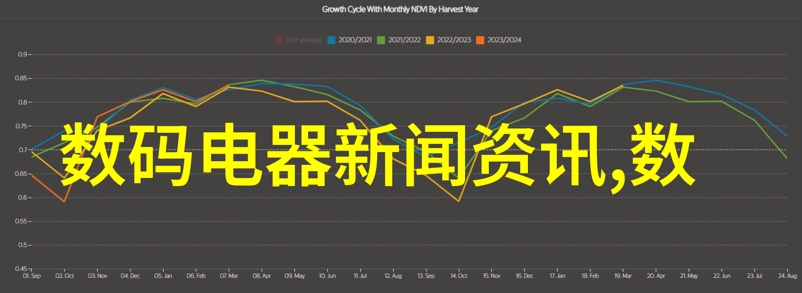 水仙花语绽放的诗意与寓意