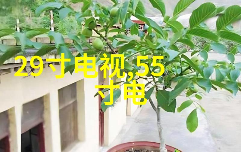 电视分为液晶和光学透镜技术探索两大显示科技的差异与发展趋势