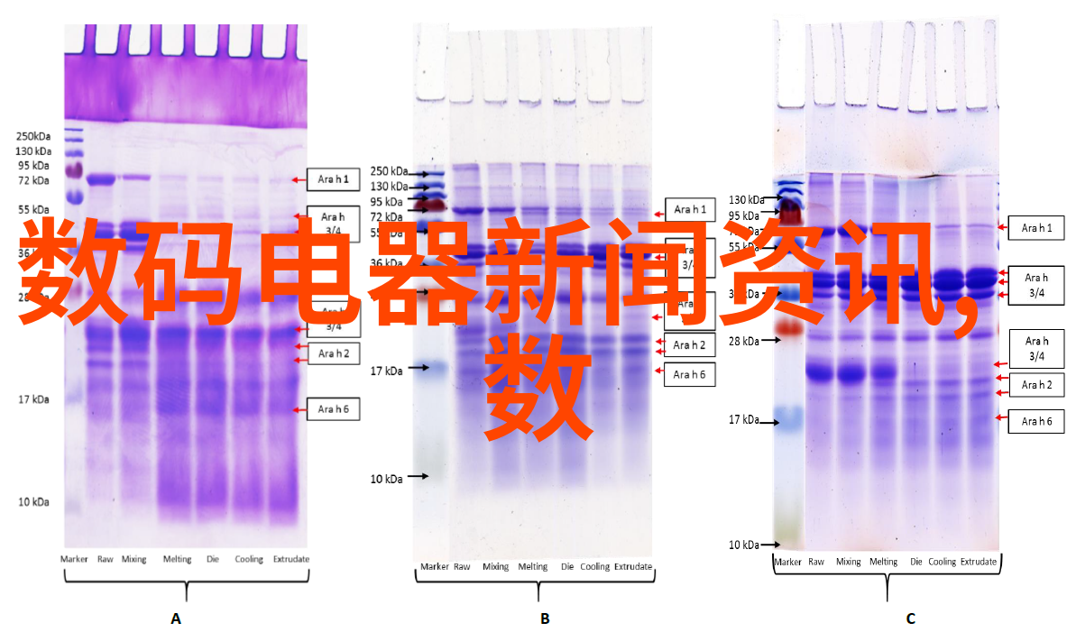 揭秘建筑装饰装修工程背后的省钱窍门如何在不知不觉中节省开支