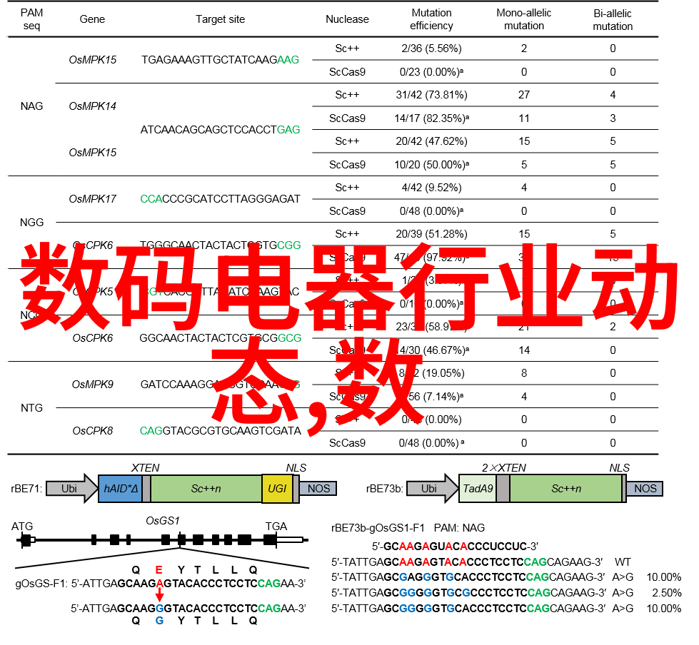 百合花的花语与寓意纯洁贞操与永恒之谜