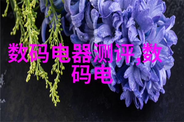 西南财经大学研究生院未解之谜与深夜的学术探险