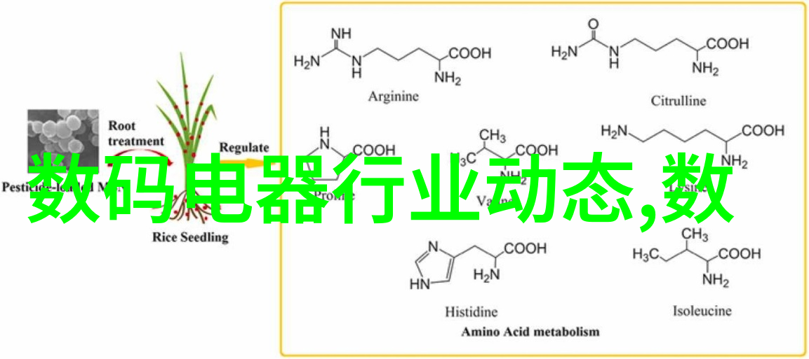 高效分析现代实验室中的层析柱革命