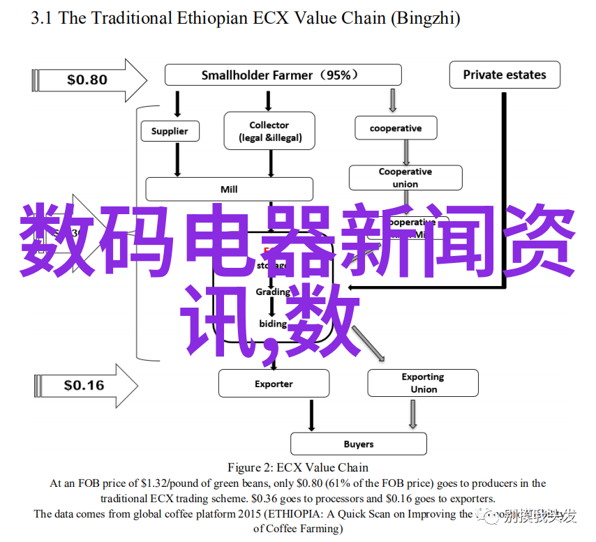 镜头下的艺术探索摄影作品网站的奇妙世界