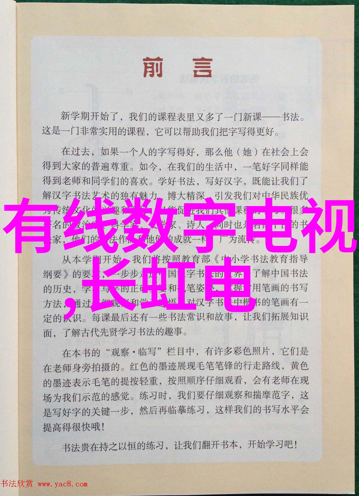 中关村摄影论坛图片-探索光影之美中关村摄影论坛图片展览