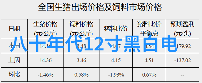 城市管理新篇章市政工程如何促进现代化发展