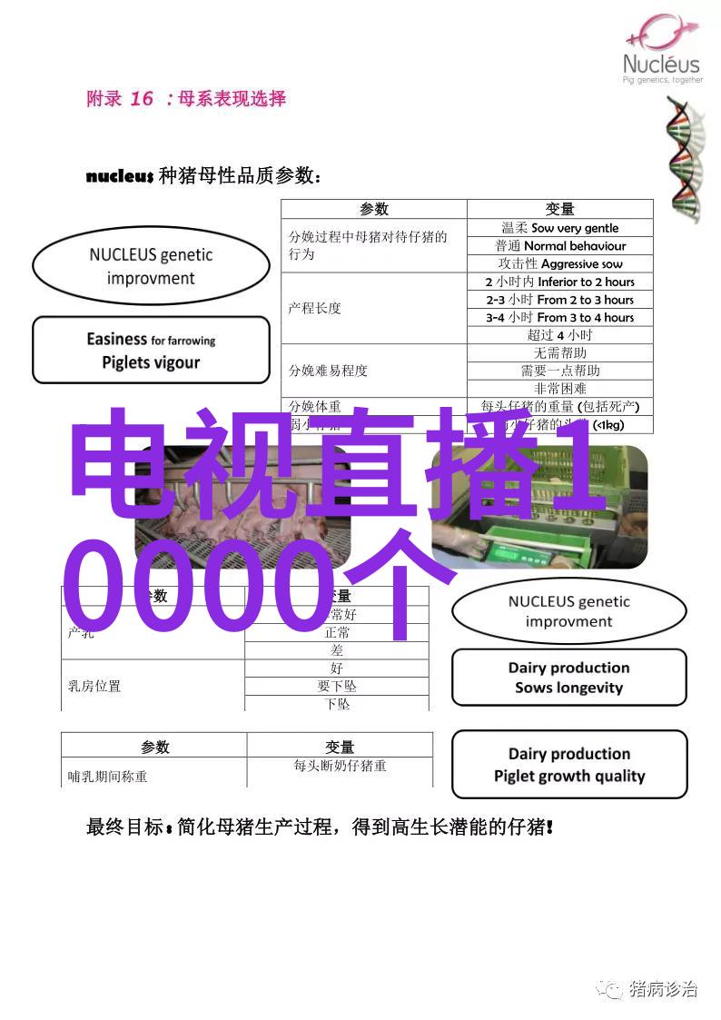 创造视觉盛宴掌握核心技术与选择最佳器材提升户外照片质量