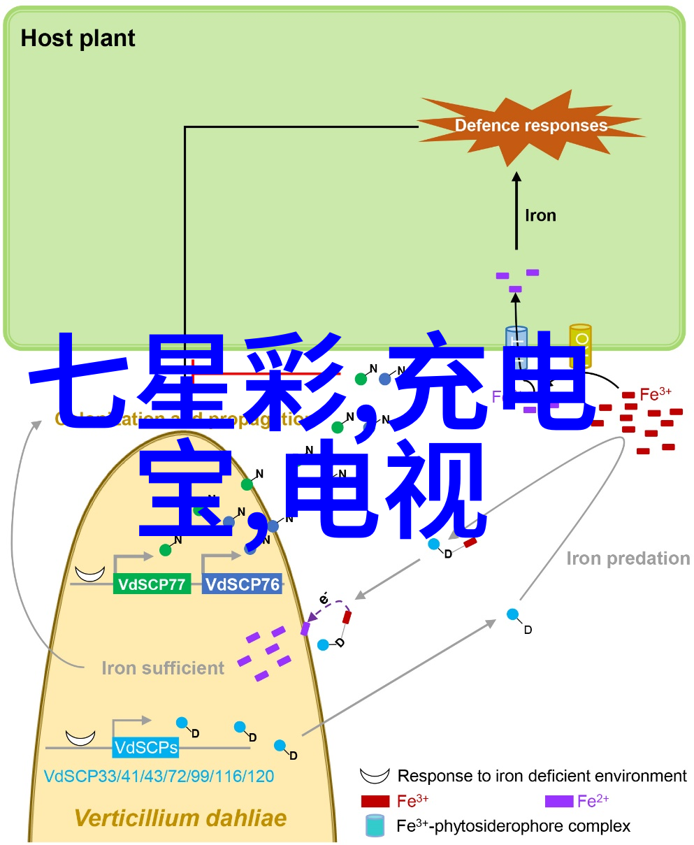 如何准备收房验房避免后续纠纷