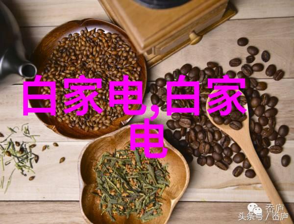 不离不弃全集温暖人心的忠诚伙伴