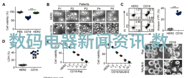 装修经典100句家居美学的智慧指南