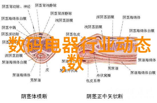 工控机和PLC的区别你真的懂吗