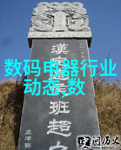 青岛唯一海尔智家梦圆项目入选全国四个100最佳志愿服务