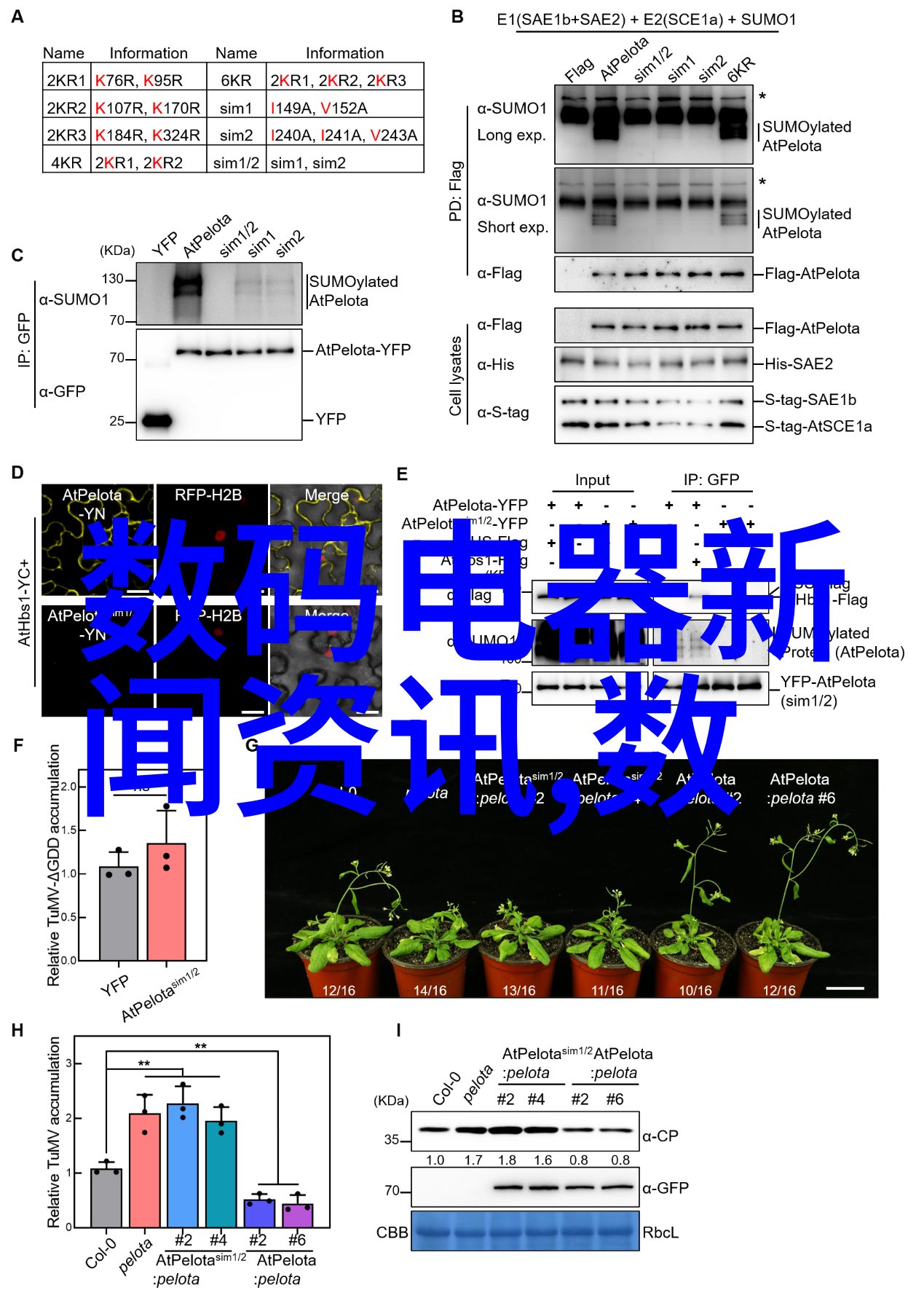 吸附剂大侦探揭秘那些隐藏在家里的小偷