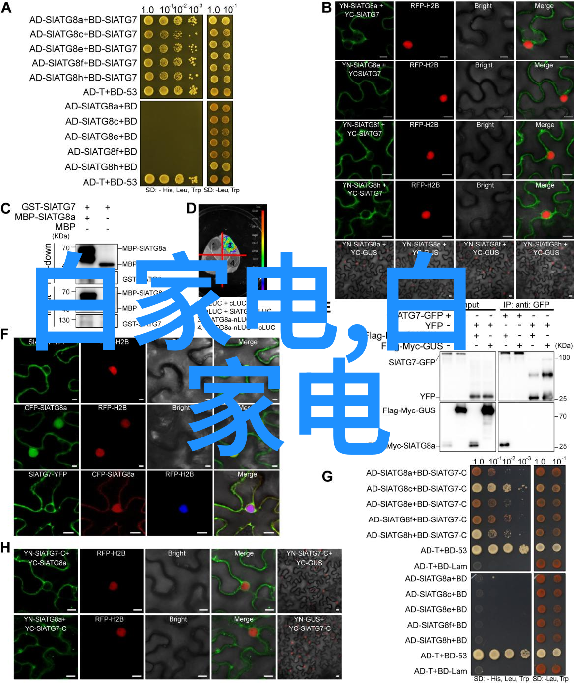 打造宁静之地10款现代简约风格的小面积卧室装修案例