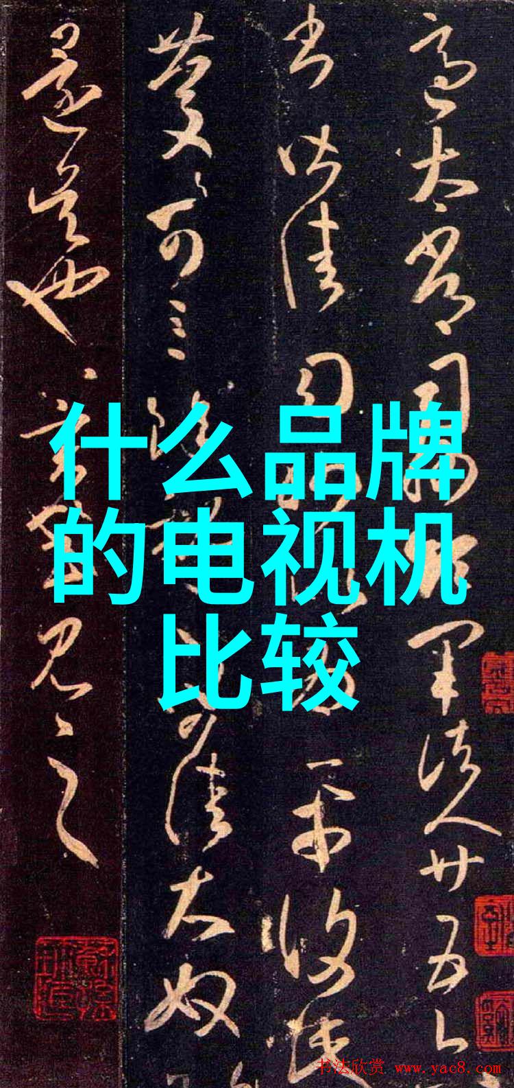 小天鹅洗衣机探索其在现代家居环境中的创新应用与节能效益