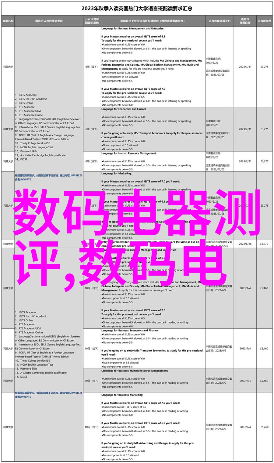 花语传递解读那些代表友谊的美丽植物