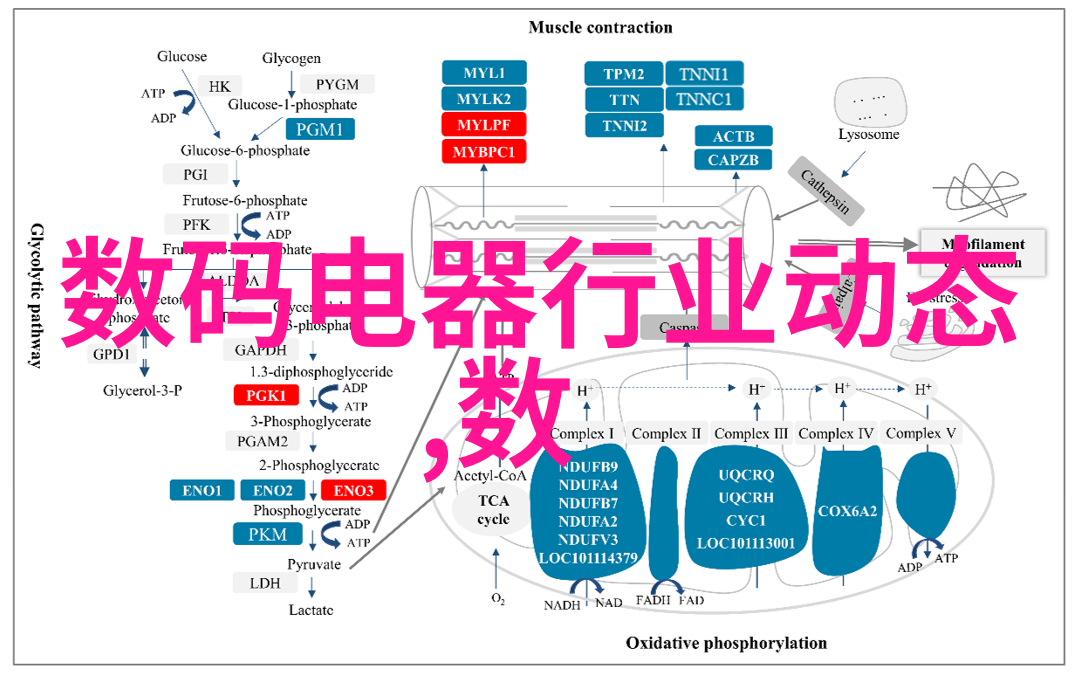 自建房二楼客厅装修效果图我家的新客厅你也来看看吧