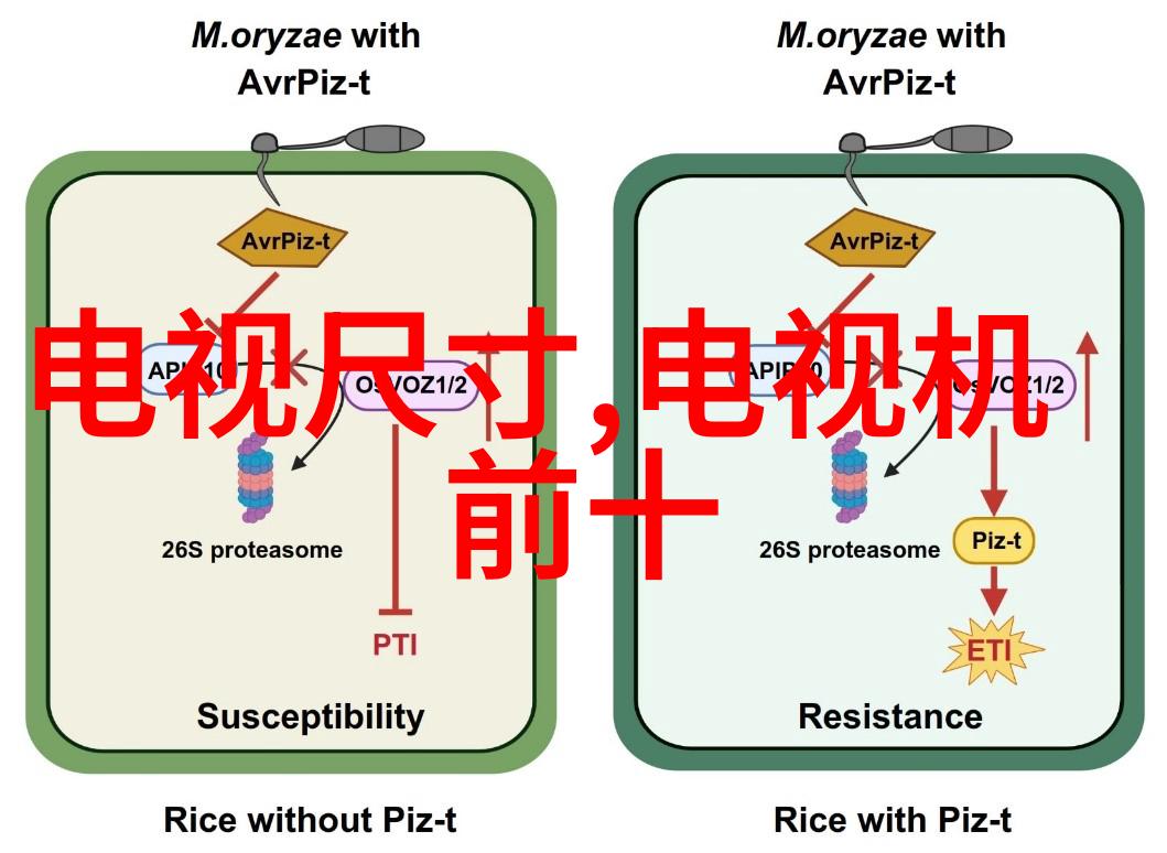 彩电什么时候普及的我还记得那台第一台彩电它是怎么让我们家的电视观影变活色生香的