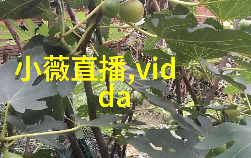 家居美学探索家具的设计与功能之美