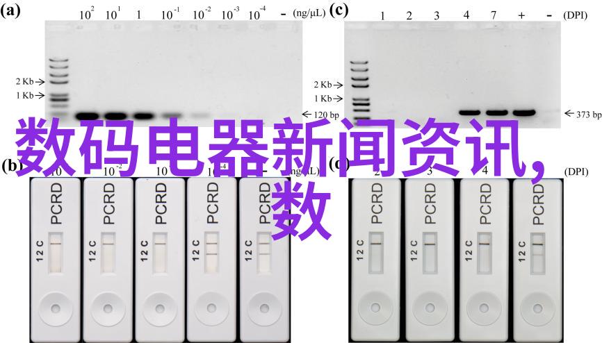 1.2毫米厚不锈钢304板价格走势分析