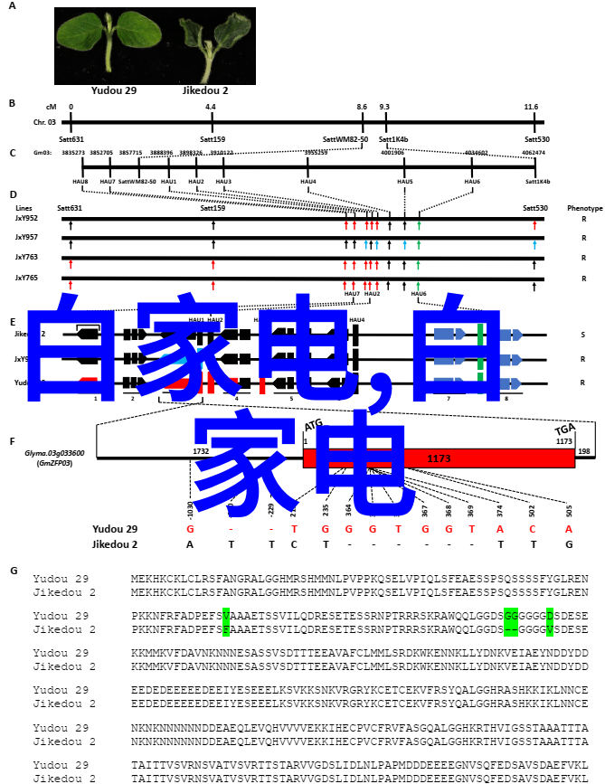 房子变身艺术品最新房屋装修设计软件大揭秘