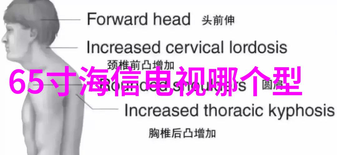 电路图解从基础原理到复杂系统的设计与应用