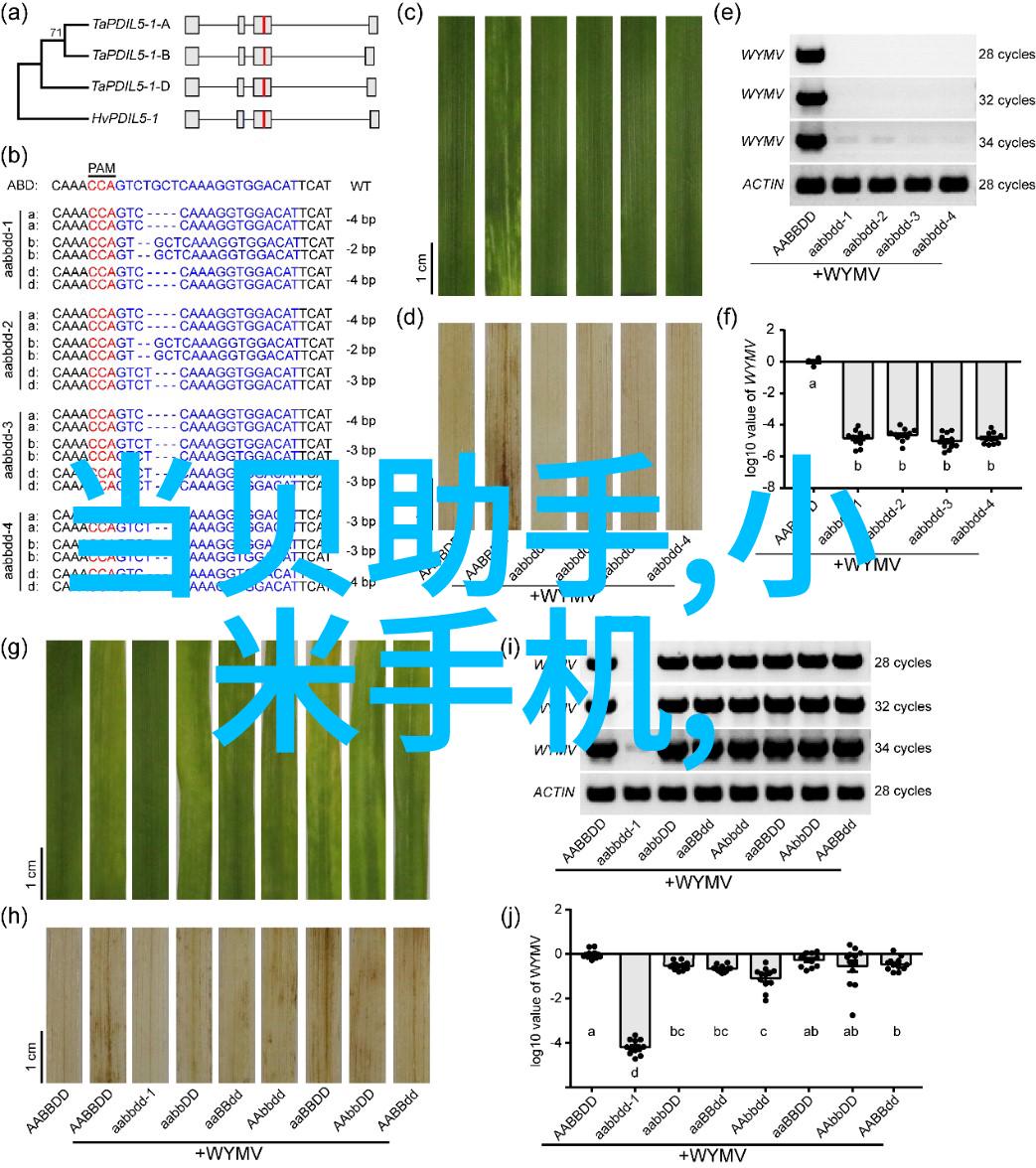 古老城墙的守护者外墙砖的故事与魅力