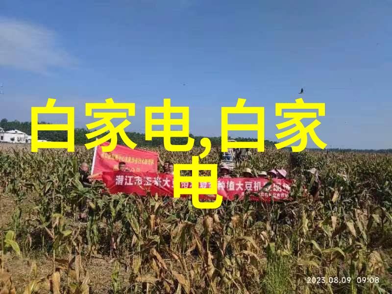 中东现代主义风格