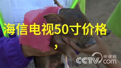 低温等离子灭菌器品牌专业医疗设备供应商