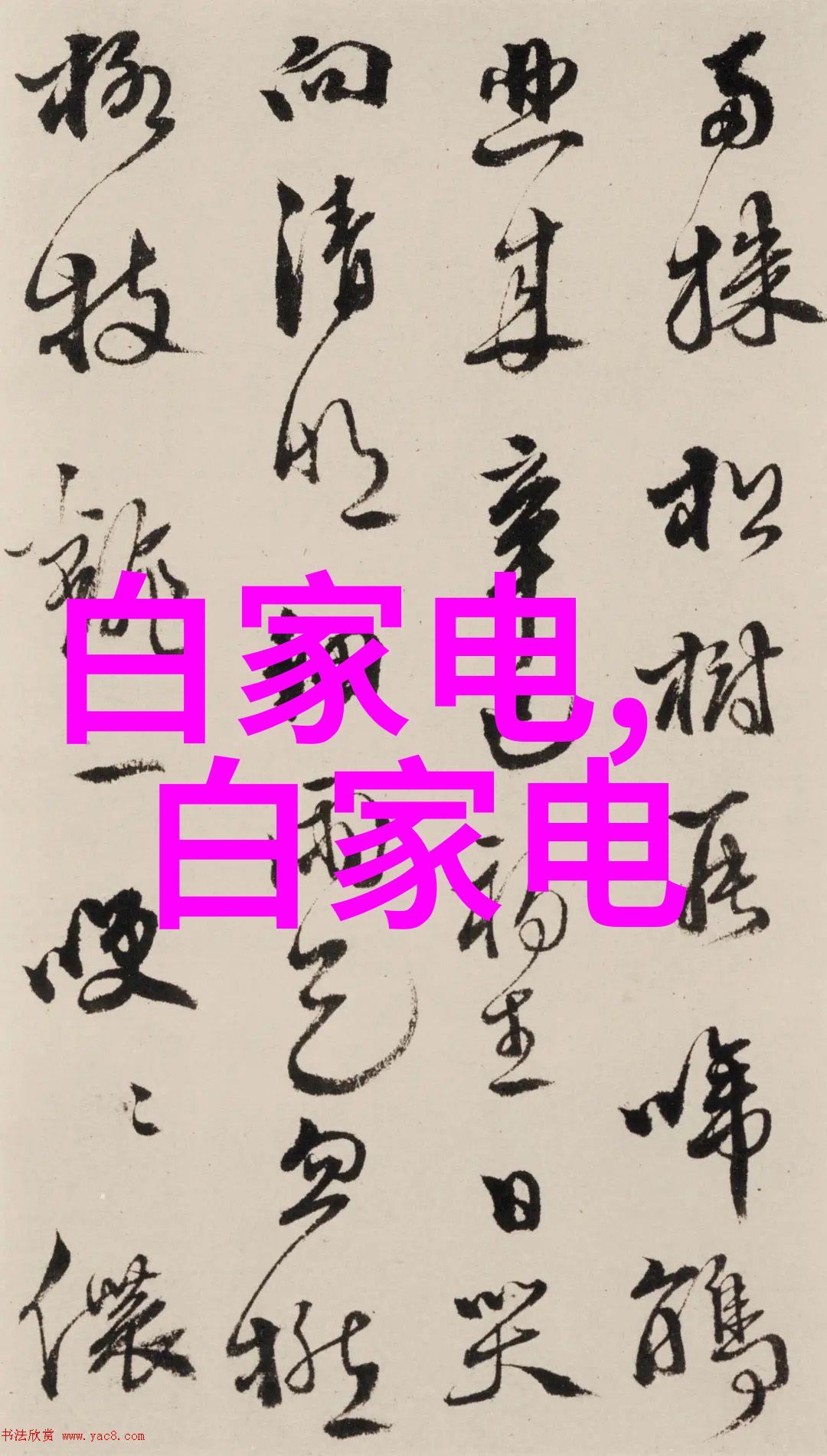 逆袭约会从街头陌生人到时尚偶像的奇妙转变