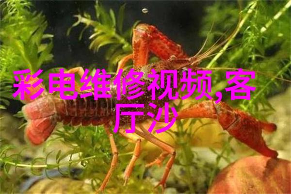 重庆财经学院学术荟萃与经济智囊的摇篮