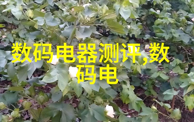 临沂装修家居美学的新篇章