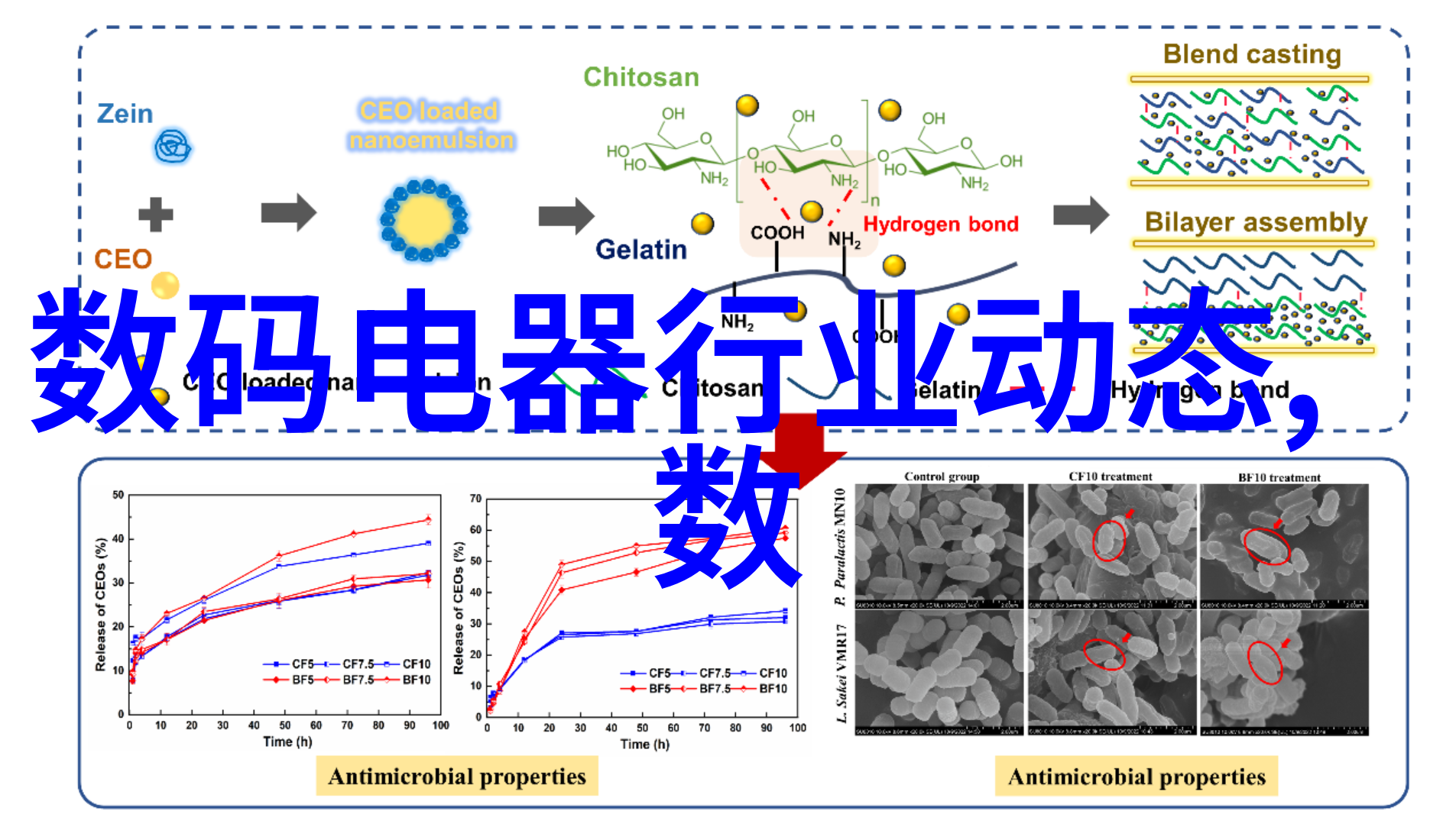 丝网填料与波纹填料的优缺点 - 网罗细节丝网填料与波纹填料的选择策略