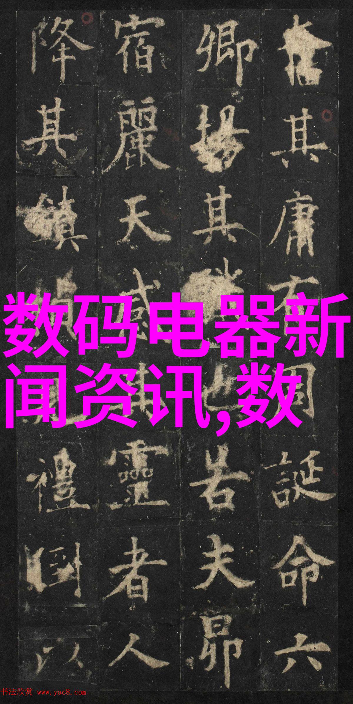 反光背心安全与时尚的完美融合