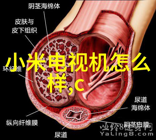 坐在学霸的大紫根上写作业我是怎么在学霸大腿上完成作业的