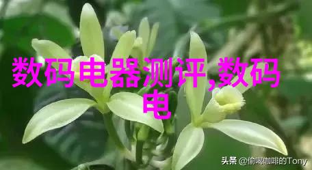 上海别墅设计中如何融入传统与现代元素