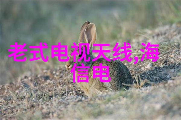 电视变革从黑白到彩色家中的画面变幻成千秋