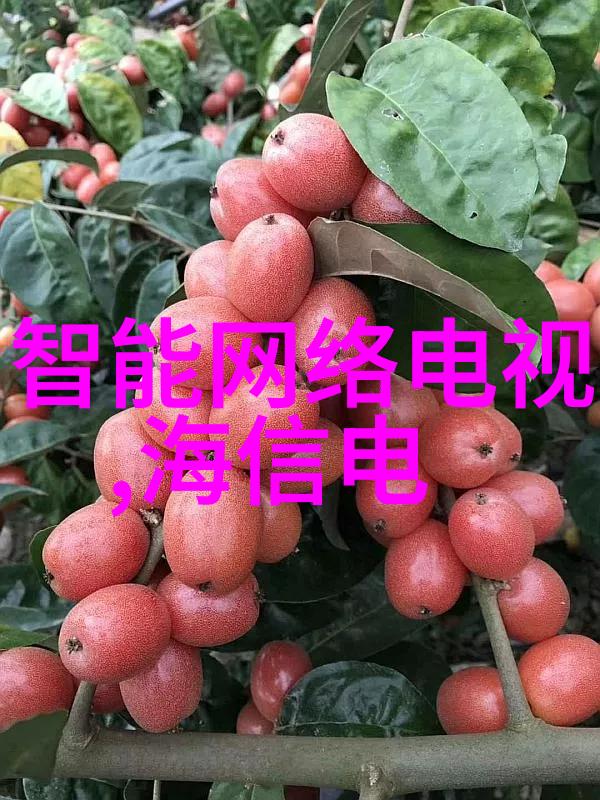 轻薄帝师全文免费阅读轻薄世界的强大领袖