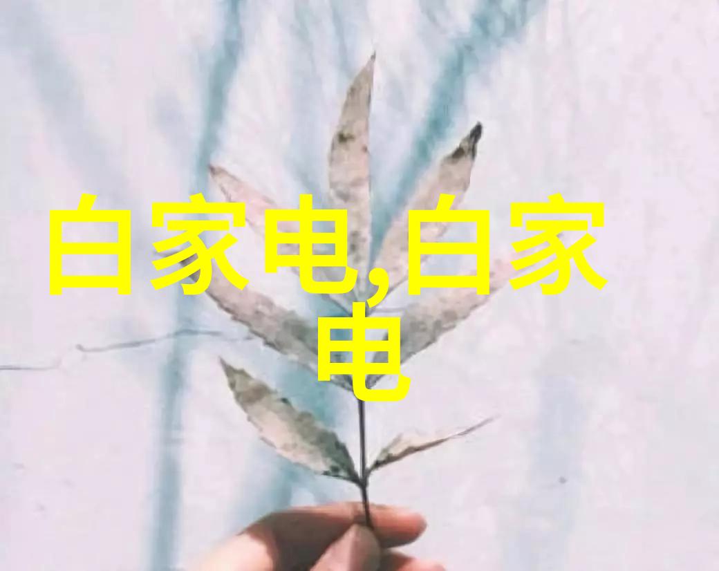 家居清洁的艺术如何让每一寸空间都闪耀着光彩