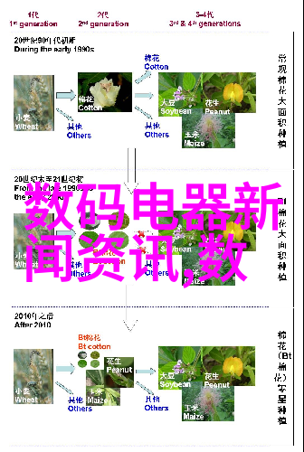 西安财经大学我在这座古城里的学府故事