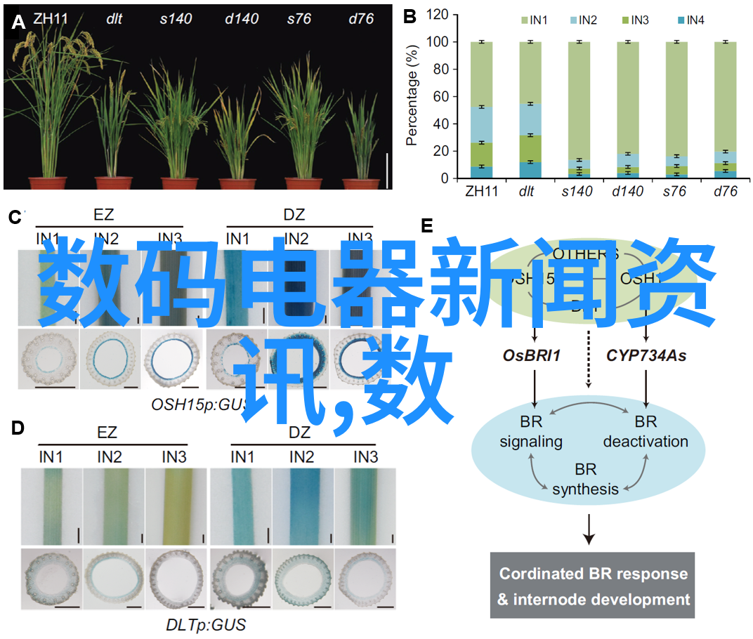 螺旋板冷凝器技术高效能热交换设备