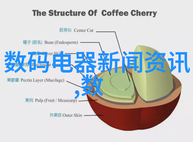 小手拍出巨作小学生摄影大赛的得奖者们